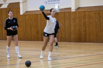 Bild 136 - F TSV Ellerau - HSG Tills Loewen 08 : Ergebnis: 16:18